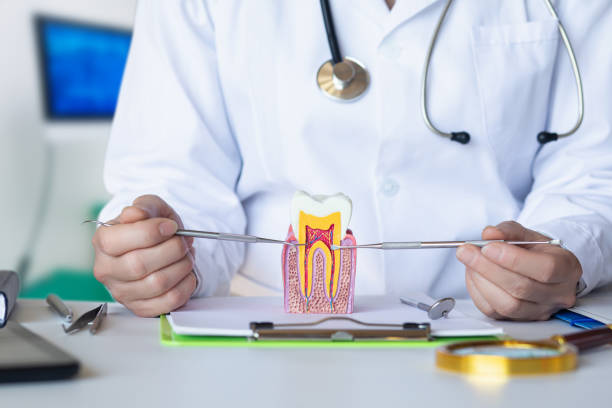 Best Emergency Dental Care for Broken or Chipped Teeth in Lititz, PA